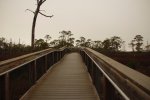 Click to enlarge St. George Island State Park, Florida, United States.