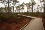 Click to enlarge St. George Island State Park, Florida, United States.