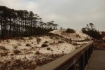 Click to enlarge St. George Island State Park, Florida, United States.
