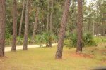 Click to enlarge Faver-Dykes State Park, Florida, United States.
