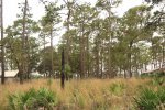 Click to enlarge Faver-Dykes State Park, Florida, United States.