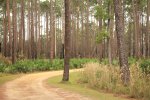 Click to enlarge Faver-Dykes State Park, Florida, United States.