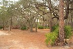 Click to enlarge Faver-Dykes State Park, Florida, United States.