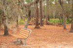 Click to enlarge Faver-Dykes State Park, Florida, United States.