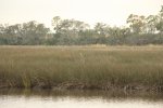 Click to enlarge Faver-Dykes State Park, Florida, United States.