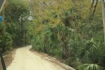 Click to enlarge Faver-Dykes State Park, Florida, United States. Long entrance road.