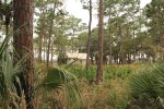 Click to enlarge Faver-Dykes State Park, Florida, United States. picnic area