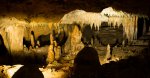 Florida Caverns State Park, Florida, United States. Stalactites and stalagmites  inside the cave at Florida Caverns State Park 