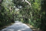 Click to enlarge Fort Clinch State Park, Florida, United States. Road to campground.