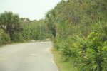 Gamble Rogers State Rec Area, Florida, United States. Exit road from riverside camping area