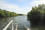 E G Simmons County Park, Florida, United States. Looking down the internal waterway inland from the canoe launch.