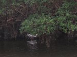 E G Simmons County Park, Florida, United States. 