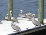 E G Simmons County Park, Florida, United States. 
