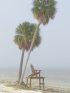 Click to enlarge E G Simmons County Park, Florida, United States.