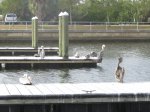 E G Simmons County Park, Florida, United States. Docks at boat launch.