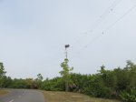E G Simmons County Park, Florida, United States. Eagles nest in park