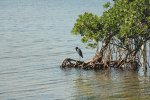 Click to enlarge E G Simmons County Park, Florida, United States. Panther Point