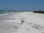 Click to enlarge Beach in public area
