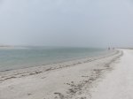 Click to enlarge North Beach 2018