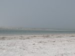 Click to enlarge North Beach 2018