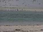 Click to enlarge North Beach 2018