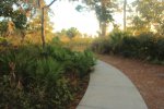 Click to enlarge Oscar Scherer State Park, Florida, United States.