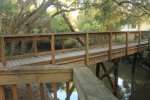 Click to enlarge Oscar Scherer State Park, Florida, United States. Walking bridge connecting camping and day use areas.