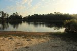 Click to enlarge Oscar Scherer State Park, Florida, United States.