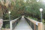 Click to enlarge Oscar Scherer State Park, Florida, United States.