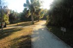 Click to enlarge Oscar Scherer State Park, Florida, United States.