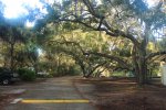 Click to enlarge Oscar Scherer State Park, Florida, United States.