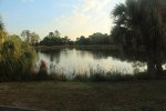 Click to enlarge Oscar Scherer State Park, Florida, United States. Lake Osprey