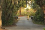 Click to enlarge Oscar Scherer State Park, Florida, United States. One way bridge into camping area