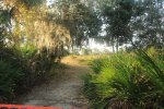 Click to enlarge Oscar Scherer State Park, Florida, United States. Trail closed due to eagles nesting.
