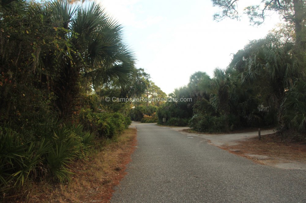 Oscar Scherer State Park Campground at Oscar Scherer State Park ...