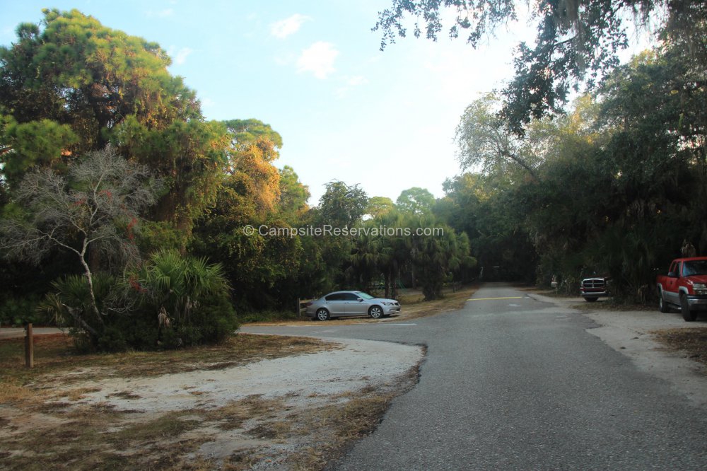 Oscar Scherer State Park Campground at Oscar Scherer State Park ...