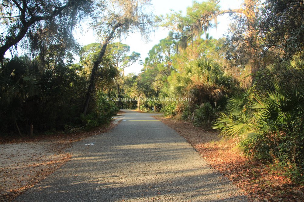 Oscar Scherer State Park Campground at Oscar Scherer State Park ...