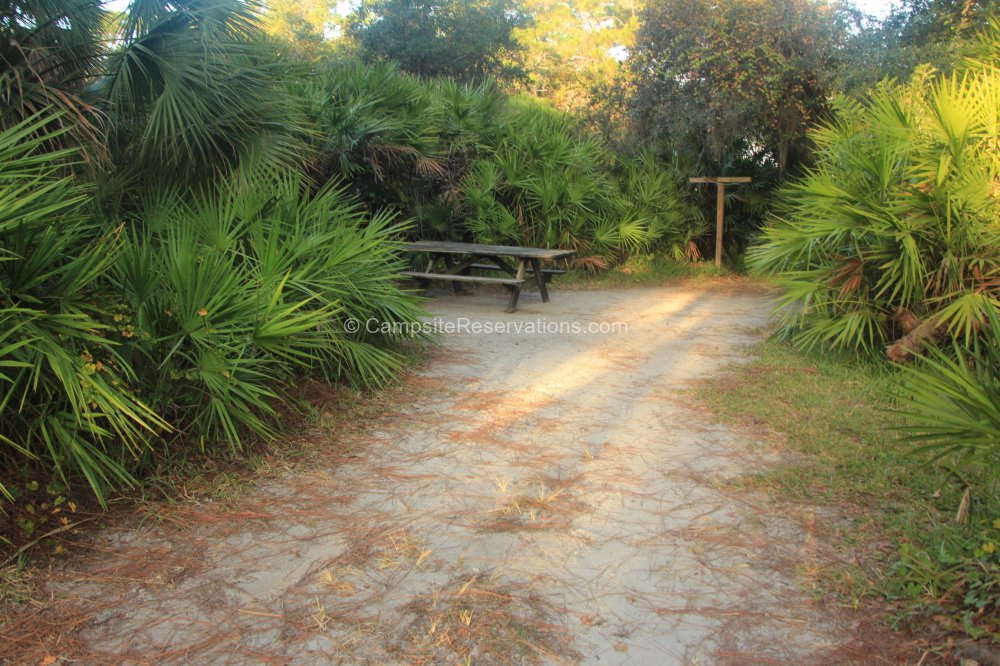 Photo of Campsite 001 in Oscar Scherer State Park Campground at Oscar ...