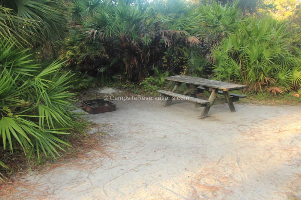 Photo of Campsite 001 in Oscar Scherer State Park Campground at Oscar ...