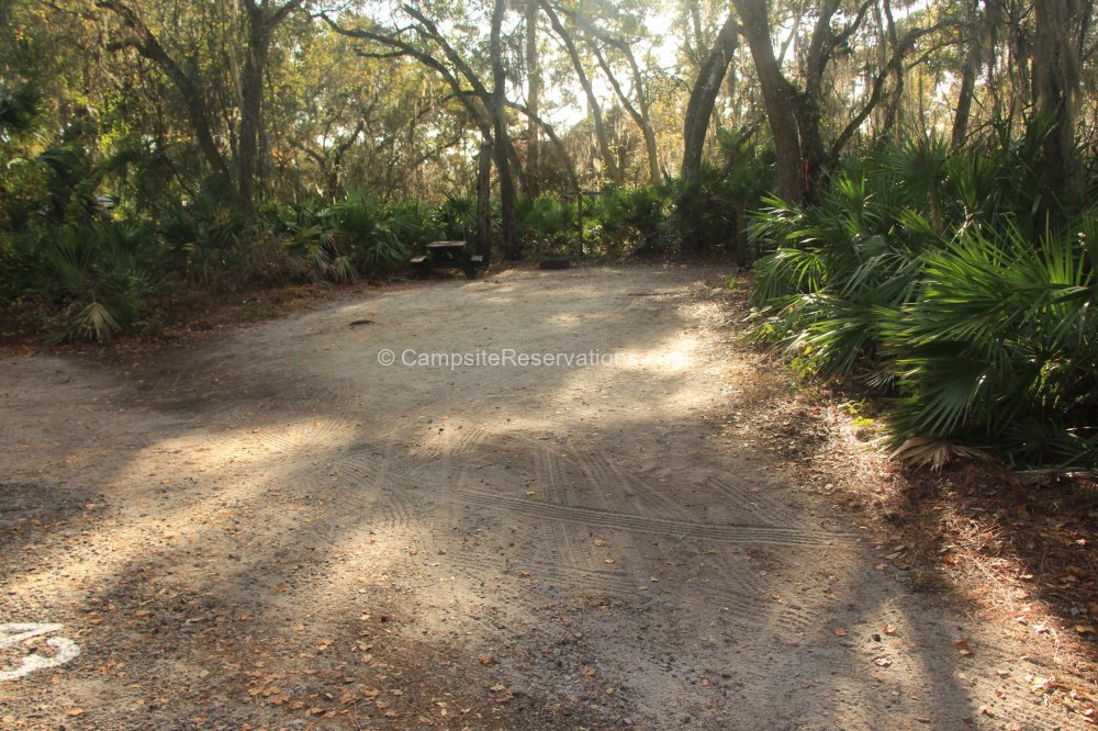 Photo of Campsite 043 in Oscar Scherer State Park Campground at Oscar ...