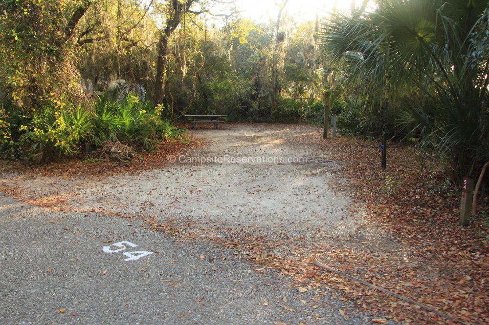 Photo of Campsite 054 in Oscar Scherer State Park Campground at Oscar ...