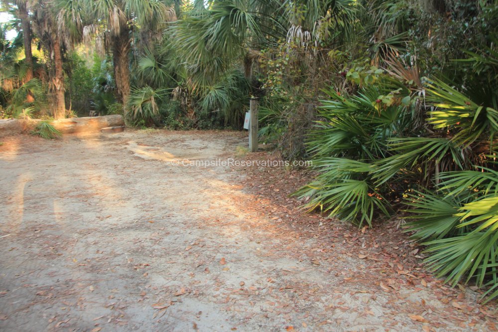 Campsite 076 in Oscar Scherer State Park Campground at Oscar Scherer ...