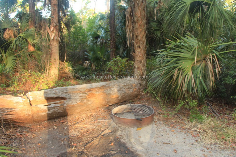 Campsite 076 in Oscar Scherer State Park Campground at Oscar Scherer ...