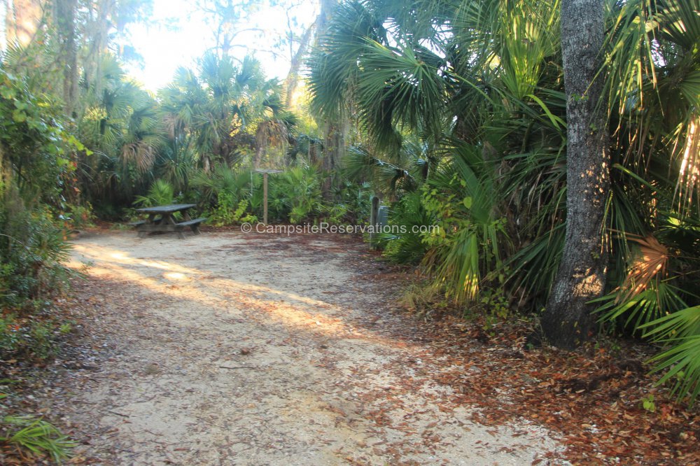 Campsite 080 in Oscar Scherer State Park Campground at Oscar Scherer ...