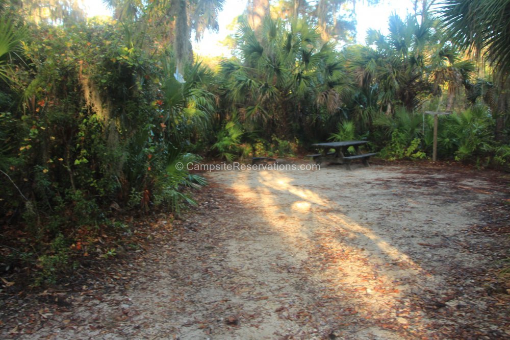 Campsite 080 in Oscar Scherer State Park Campground at Oscar Scherer ...
