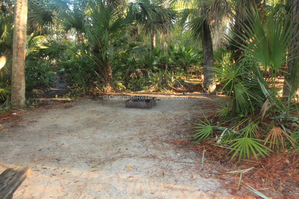 Photo of Campsite 088 in Oscar Scherer State Park Campground at Oscar ...