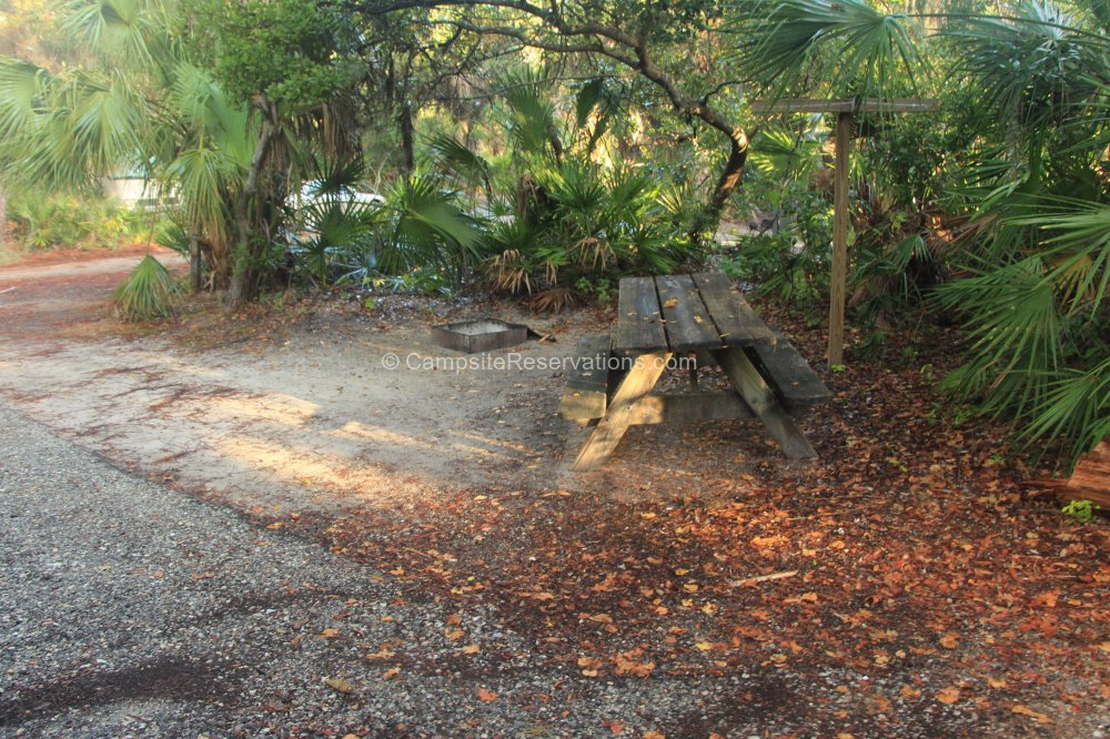 Photo of Campsite 103 in Oscar Scherer State Park Campground at Oscar ...