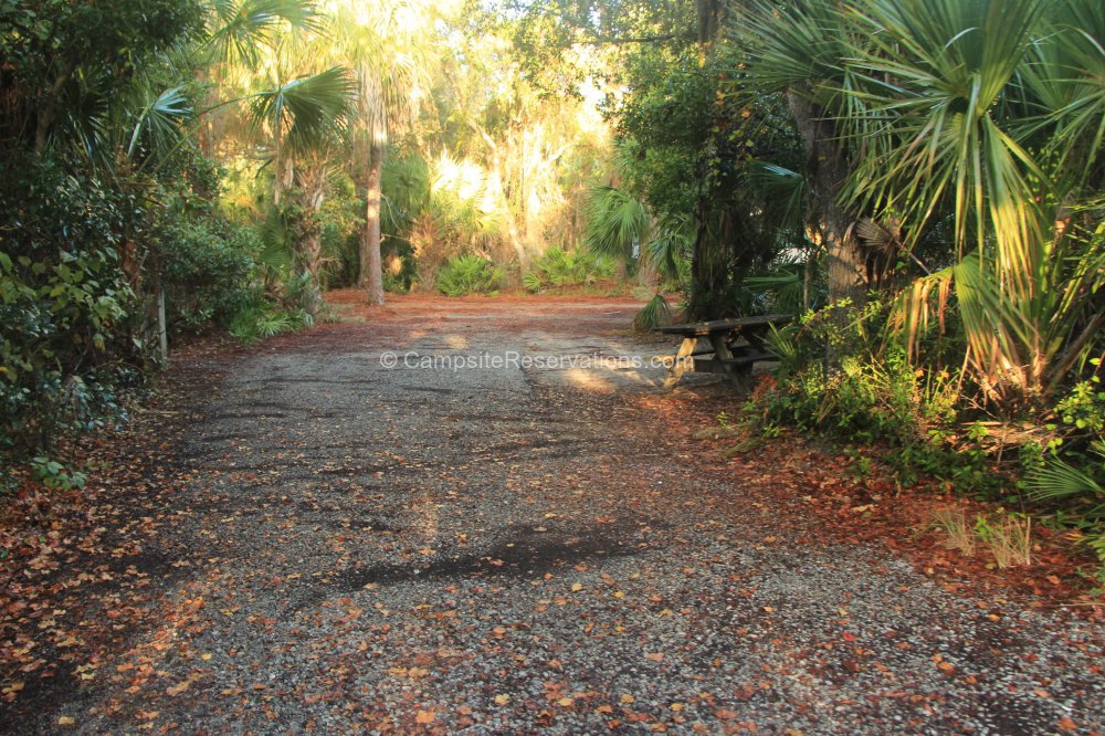 Photo of Campsite 103 in Oscar Scherer State Park Campground at Oscar ...