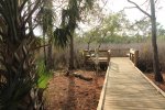 Click to enlarge Buttonbush Marsh Overlook