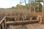 Click to enlarge Buttonbush Marsh Overlook